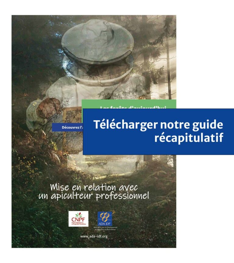 Guide ADA IDF lien apiculteurs et exploitants forestier