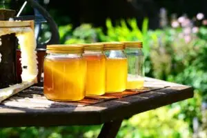 honey, jars, harvest, nature, bees, garden, honey jars, glass containers, glass jars, golden, pure, raw, honey, honey, honey, honey, honey-352205.jpg