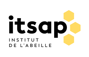 Logo ITSAP