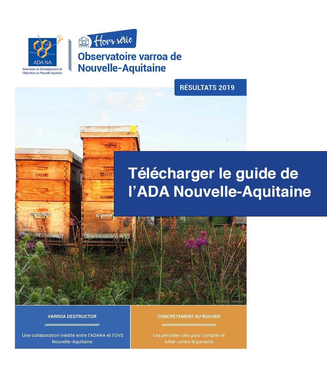 guide lutte varroas ADA Nord aquitaine 2020 HS