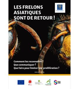 comment enlever un nid de frelon
