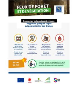 lutter contre les feux de forêts