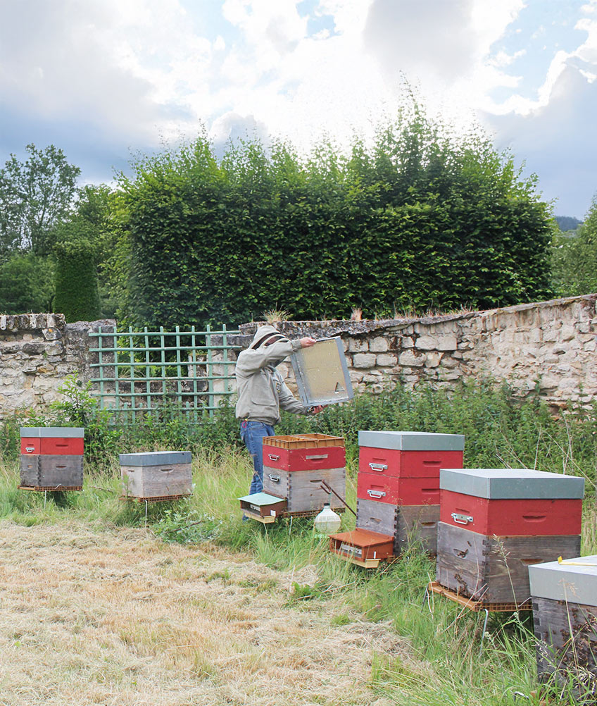 apiculture professionnelle en île de france