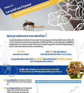 le miel en france