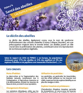 La santé des abeilles