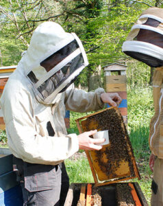 les missions de l'association ada ile de france