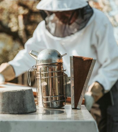 reprise-ferme-apicole